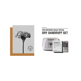 Scalp Ritual Dry Dandruff Set
